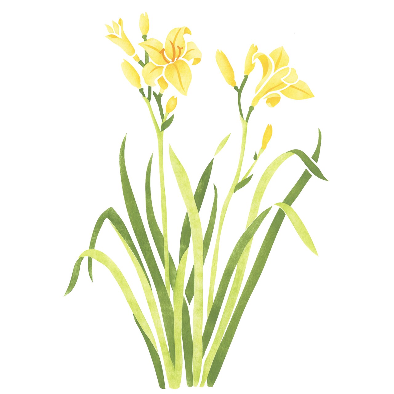 Daylily Wall Stencil | 1823 by Designer Stencils | Floral Stencils | Reusable Art Craft Stencils for Painting on Walls, Canvas, Wood | Reusable Plastic Paint Stencil for Home Makeover | Easy to Use & Clean Art Stencil